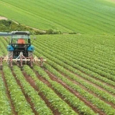 Η υποχρεωτική αναγραφή του ΑΤΑΚ «Μπλοκάρει» την πλειονότητα των δηλώσεων