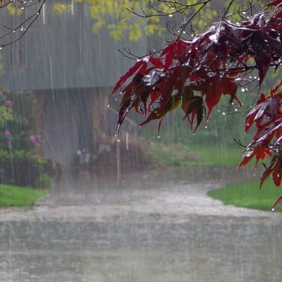 Κολυδάς: Βροχές και καταιγίδες σήμερα - Τετάρτη έρχεται το δεύτερο κύμα κακοκαιρίας