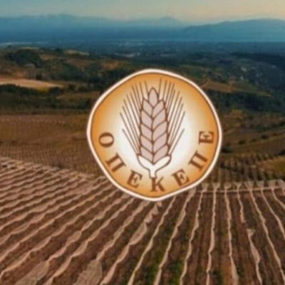 Μεγάλη δικαίωση της ΠΟΓΕΔΥ: Η αρχή του τέλους για τη διαφθορά στις αγροτικές ενισχύσεις Μεγάλη δικαίωση της ΠΟΓΕΔΥ: Η αρχή του τέλους για τη διαφθορά στις αγροτικές ενισχύσεις