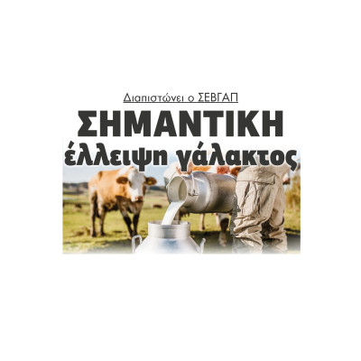 Διαπιστώνει ο ΣΕΒΓΑΠ σημαντική έλλειψη γάλακτος Διαπιστώνει ο ΣΕΒΓΑΠ σημαντική έλλειψη γάλακτος