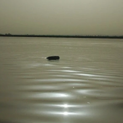 Νιγηρία: Τουλάχιστον 26 νεκροί από δυστύχημα με σκάφος στον ποταμό Νίγηρα