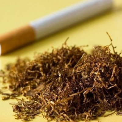 ΑΑΔΕ: Σοκαριστικά ευρήματα σε αναλύσεις παράνομων καπνικών προϊόντων – Περιττώματα ζώων, νύχια και μούχλα