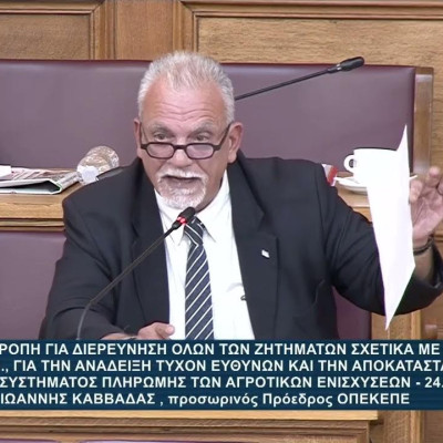 Κόντρα σε Σαλάτα και Καββαθά ο Κώστας Μπούμπας  στην εξεταστική επιτροπή για τον ΟΠΕΚΕΠΕ