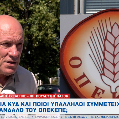 Μιχάλης Τζελέπης - Σέρρες: Ποια ΚΥΔ και ποιοι υπάλληλοι συμμετείχαν στο σκάνδαλο του ΟΠΕΚΕΠΕ;