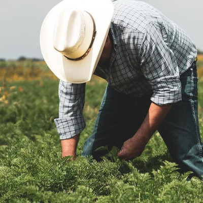 Πανελλήνια Ένωση Φορέων Αγροτικών Υπηρεσιών - Η προσπάθεια σπίλωσης των ΚΥΔ, δεν θα μείνει αναπάντητη