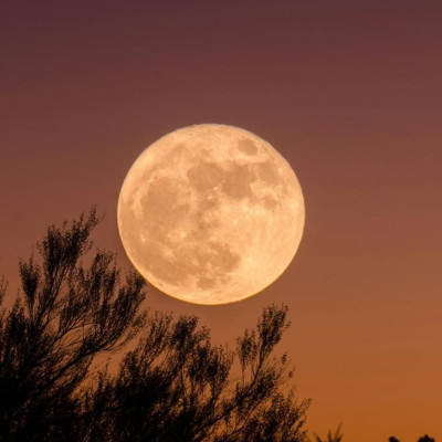 Νέα Σελήνη στις 21 Οκτωβρίου: Τα 3 ζώδια που θα επηρεαστούν περισσότερο και θα ανοίξουν νέα κεφάλαια στη ζωή τους