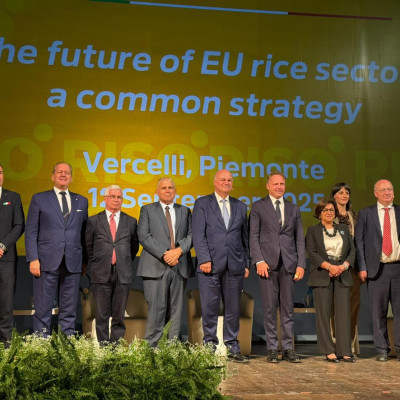 Το ευρωπαϊκό ρύζι οικολογικός θησαυρός και εμπορική ευκαιρία –της Ελλάδας