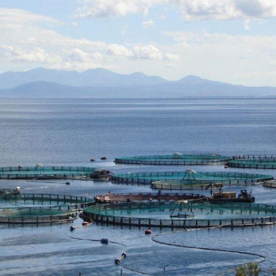 Ξεκινά νέο πρόγραμμα 26 εκ. ευρώ για τη μεταποίηση προϊόντων αλιείας και υδατοκαλλιέργειας