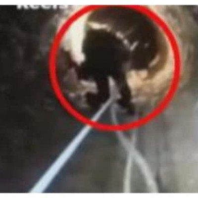 Λακωνία: 13χρονη έπεσε σε πηγάδι με νερό 5 μέτρων – Απεγκλωβίστηκε από εθελοντές πυροσβέστες