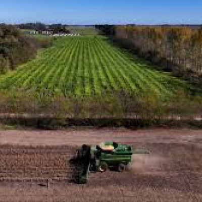 Από τον ΟΠΕΚΕΠΕ - Ένα δισεκατομμύριο έχουν να παίρνουν αγρότες