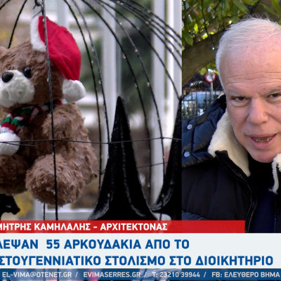 Σέρρες - Έκλεψαν 55 αρκουδάκια από το στολισμό στο Διοικητήριο ΠΕ Σερρών - Δημήτρης Καμήλαλης είναι ντροπή