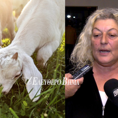 Ελπίδα Σιδηροπούλου - Αφθώδης πυρετός: «Το βλέπουμε να ρχεται - Φοβόμαστε ότι θα είναι το τελικό χτύπημα»