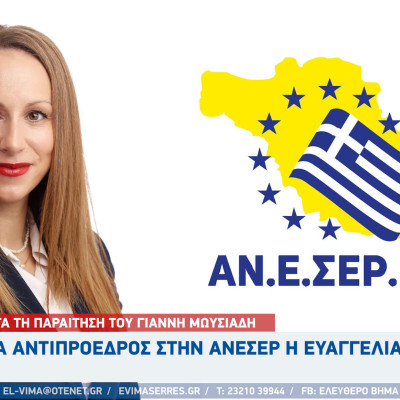 ΑΝΕΣΕΡ: Νέα Αντιπρόεδρος η Ευαγγελία Λύκου μετά την παραίτηση του Γιάννη Μωυσιάδη