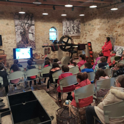 Δήμος Σερρών- Το Μουσείο ελιάς στον Ελαιώνα «ζωντάνεψε» και πάλι