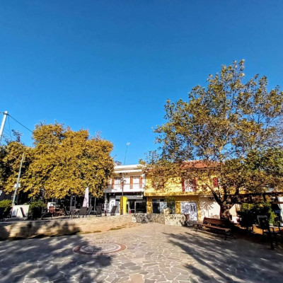 Ο Παναγιώτης Σαββίδης νέος Πρόεδρος του Φυσιολατρικού Συλλόγου Νέου Πετριτσίου