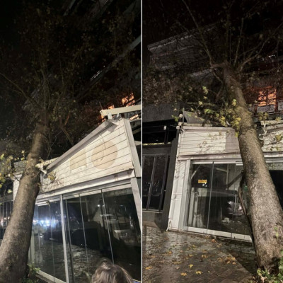 Ηγουμενίτσα: Τεράστιο πλατάνι έπεσε σε ταβέρνα από τους ισχυρούς ανέμους