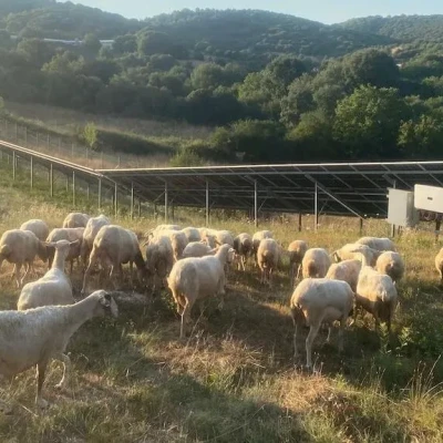 ΑΚΚΕΛ -Η Ελλάδα κινδυνεύει με 100.000€ πρόστιμο ανά ημέρα μη συμμόρφωσης γιατί δεν εμβολιάζει