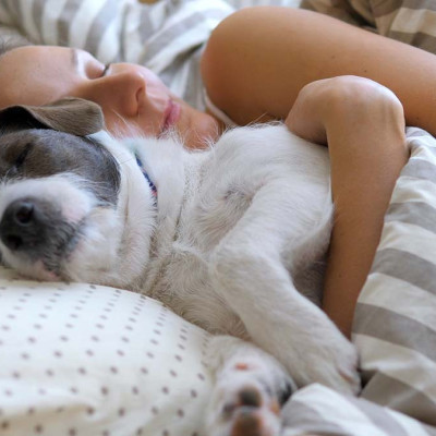 Γιατί όλο και περισσότεροι νέοι προτιμούν να αποκτήσουν σκύλο αντί να κάνουν παιδιά;