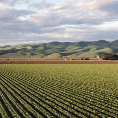 ΠΟΓΕΔΥ -Χωρίς ελέγχους δεν υπάρχει αγορά και στις Βρυξέλλες το κατάλαβαν