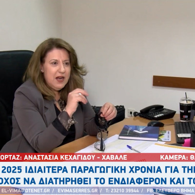 Ελένη Τριανταφύλλου (Γενική Διευθύντρια της ΑΝΕΣΕΡ): Ιδιαίτερα παραγωγική χρονιά το 2025