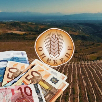 Νίκος Σφελινιώτης - Σέρρες-Φιάσκο πληρωμών από τον ΟΠΕΚΕΠΕ