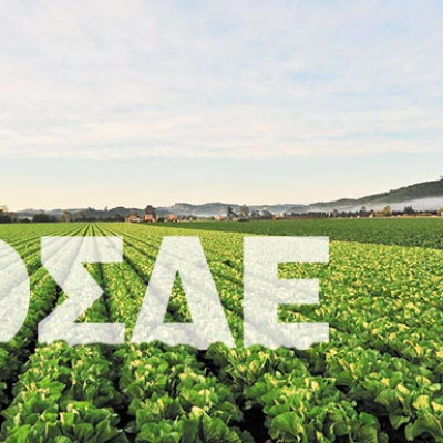 Για διορθώσεις σφαλμάτων άνοιξε ξανά το ΟΣΔΕ στους αγρότες