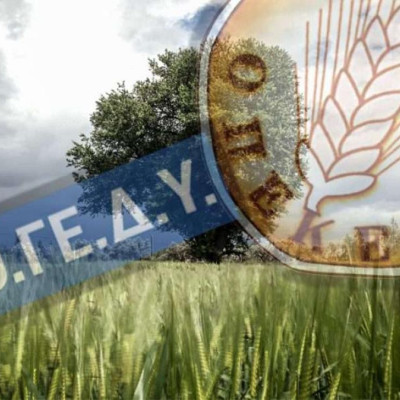 ΠΟΓΕΔΥ: Η πολιτική ηγεσία διαλύει τις Υπηρεσίες