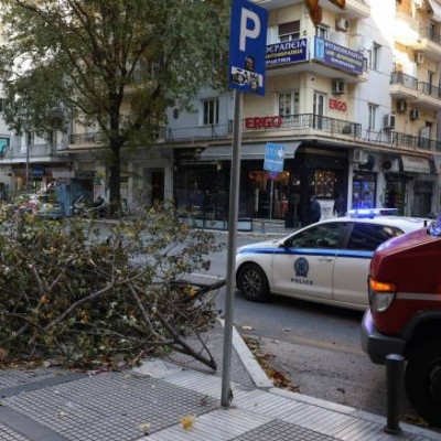 Θεσσαλονίκη: Πτώσεις δέντρων και δεκάδες κλήσεις για βοήθεια από τους ισχυρούς ανέμους