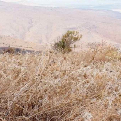 Σέρρες - Για οικόπεδο που δεν καθάρισε ο Δήμος δεν πληρώνει το πρόστιμο της πυροσβεστικής