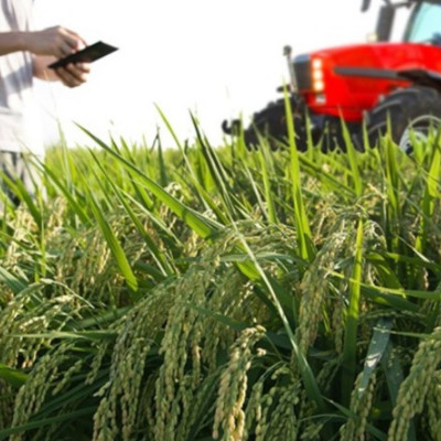 Αίτημα για αναπροσαρμογή της χιλιομετρικής αποζημίωσης από την Πανελλήνια Ένωση Γεωπόνων Δημοσίων Υπαλλήλων