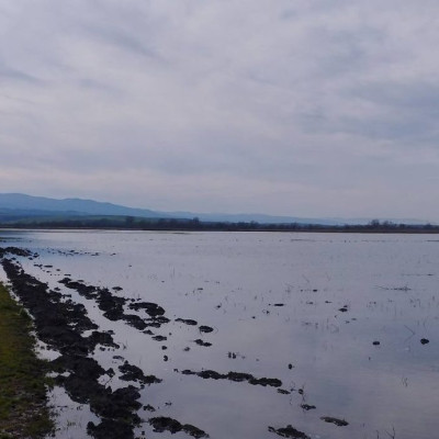Ερώτηση Μυλόπουλου για τις πλημμύρες στον Δήμο Αμφίπολης