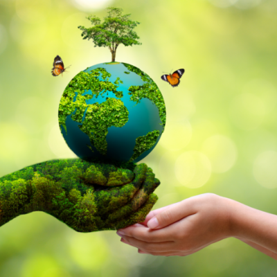 Μέλη του Ομίλου Παλαιογραφίας στον Αντιπεριφερειάρχη -«Η οικολογία μέσα από τα χειρόγραφα»