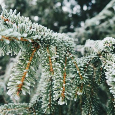 Όλα αλλάζουν μέσα σε ένα χρόνο∙ ακόμα κι οι άνθρωποι που αγαπάς