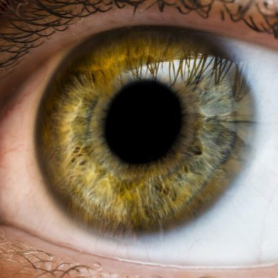 Πιο ευφυείς όσοι έχουν… αυτό στα μάτια τους